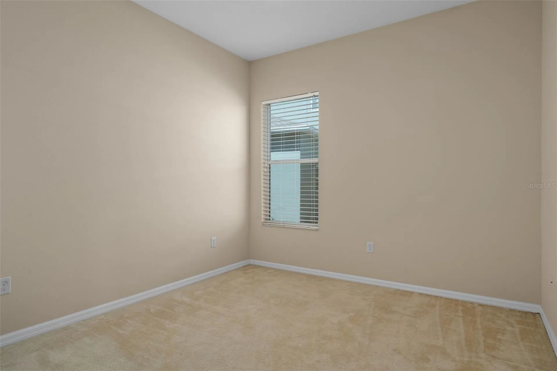 4206 Windcrest Drive Wesley Chapel FL 33544