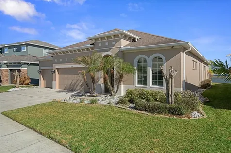 4206 Windcrest Drive Wesley Chapel FL 33544