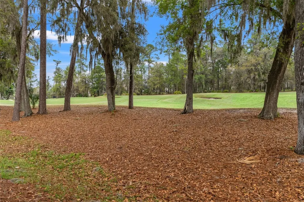 19571 Lily Pond Court Brooksville FL 34601