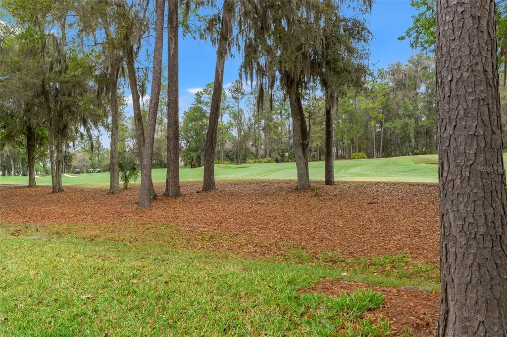 19571 Lily Pond Court Brooksville FL 34601