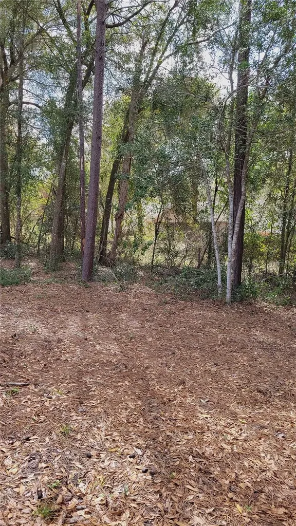 1564 Blue Grass Boulevard Deland FL 32724