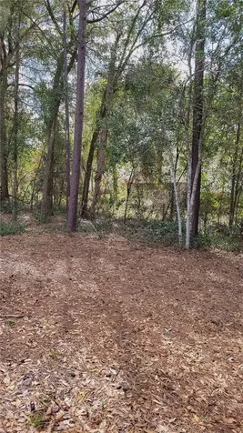 1564 Blue Grass Boulevard Deland FL 32724
