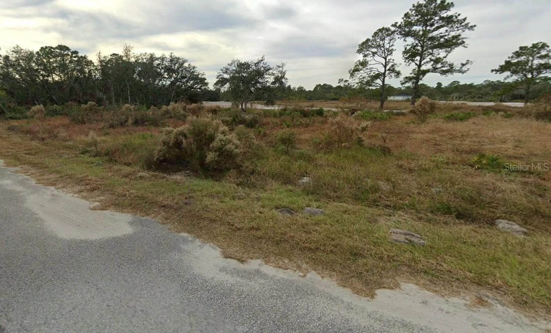 62 Fisher Loop Ocklawaha FL 32179