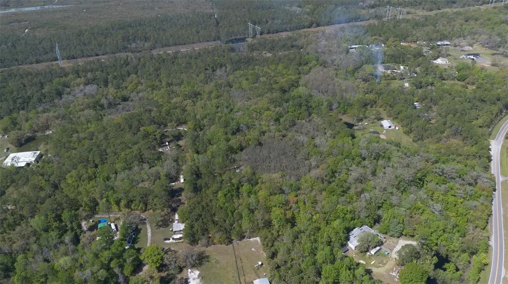 Jungle Road Geneva FL 32732