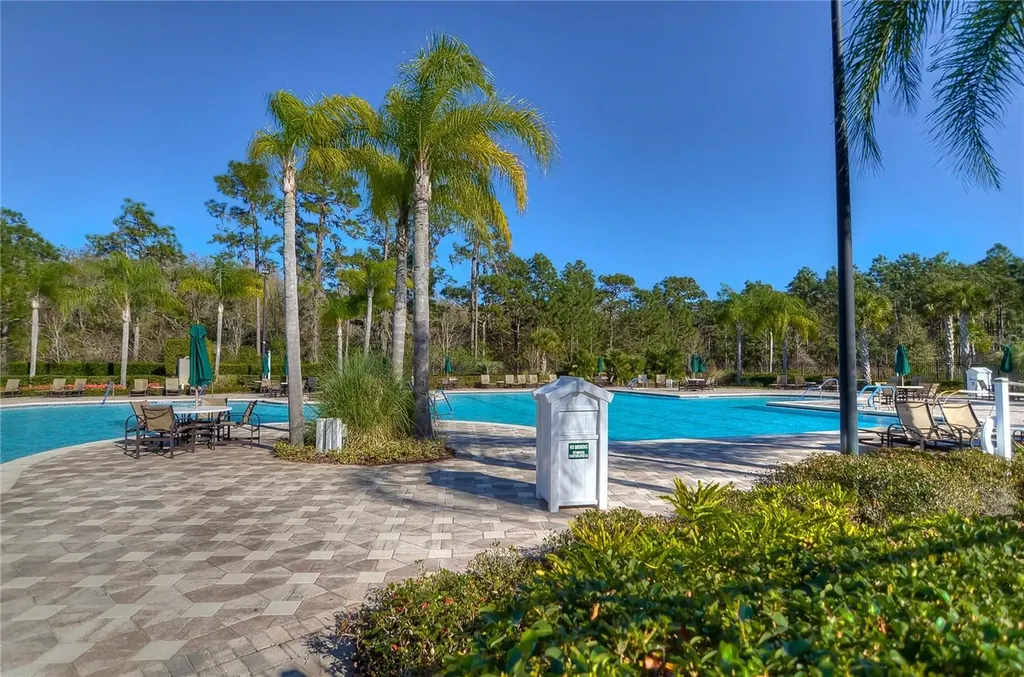 19914 Bluff Oak Boulevard Tampa FL 33647