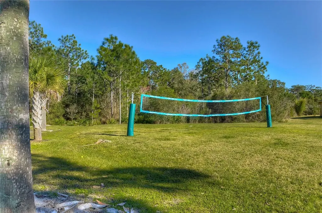 19914 Bluff Oak Boulevard Tampa FL 33647