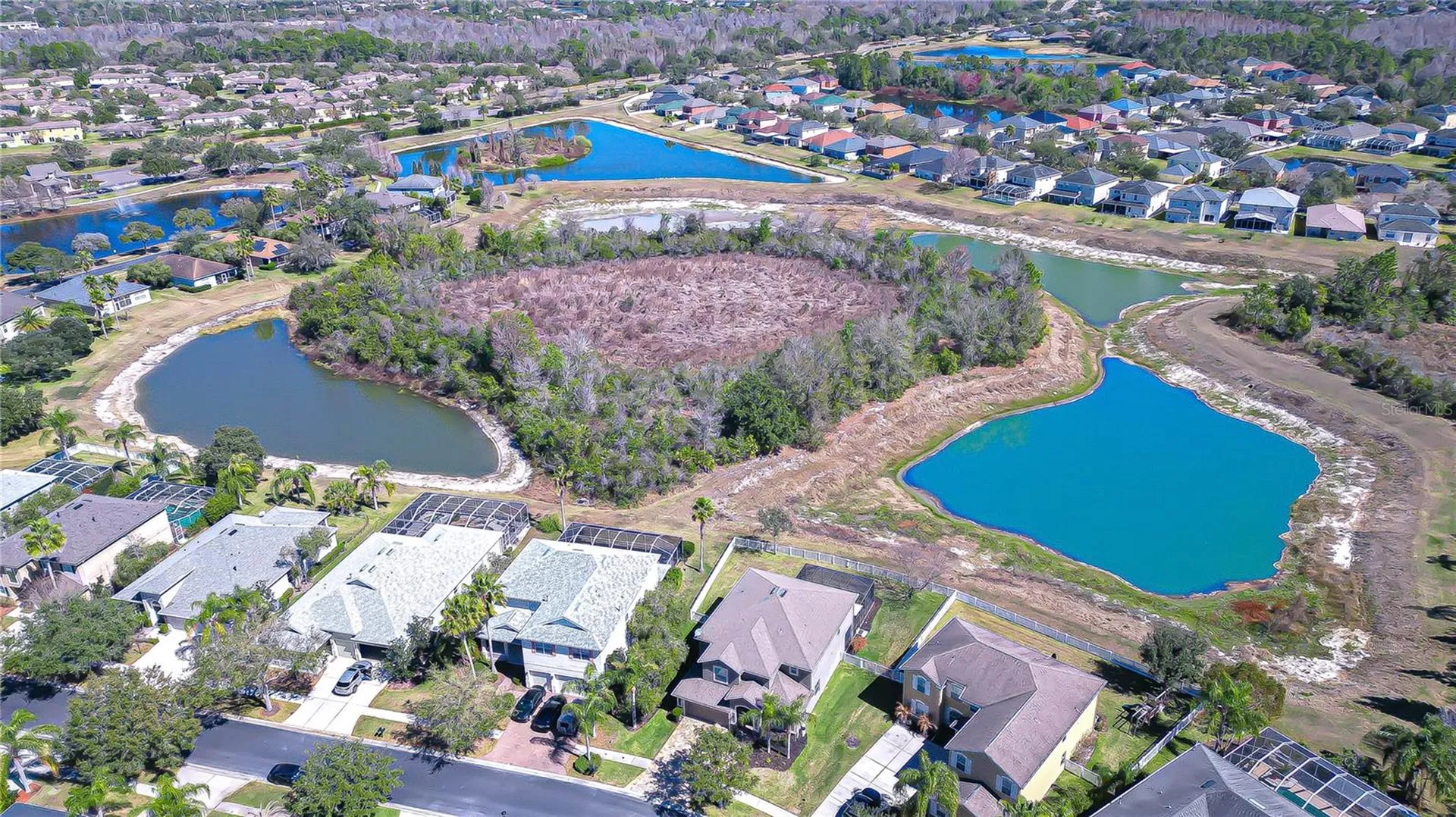 19914 Bluff Oak Boulevard Tampa FL 33647