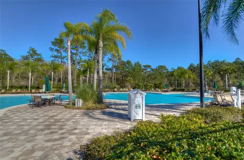 19914 Bluff Oak Boulevard Tampa FL 33647