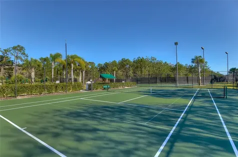 19914 Bluff Oak Boulevard Tampa FL 33647
