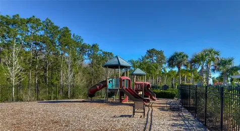 19914 Bluff Oak Boulevard Tampa FL 33647