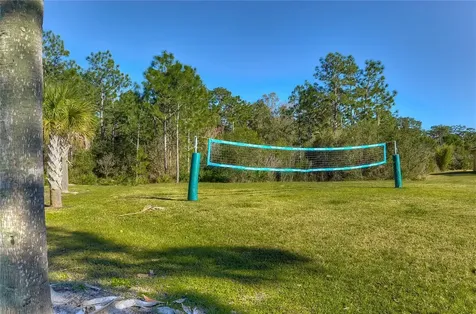 19914 Bluff Oak Boulevard Tampa FL 33647