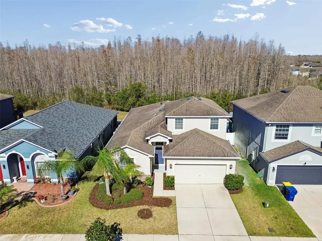 3833 Tuckerton Drive Land O Lakes FL 34638