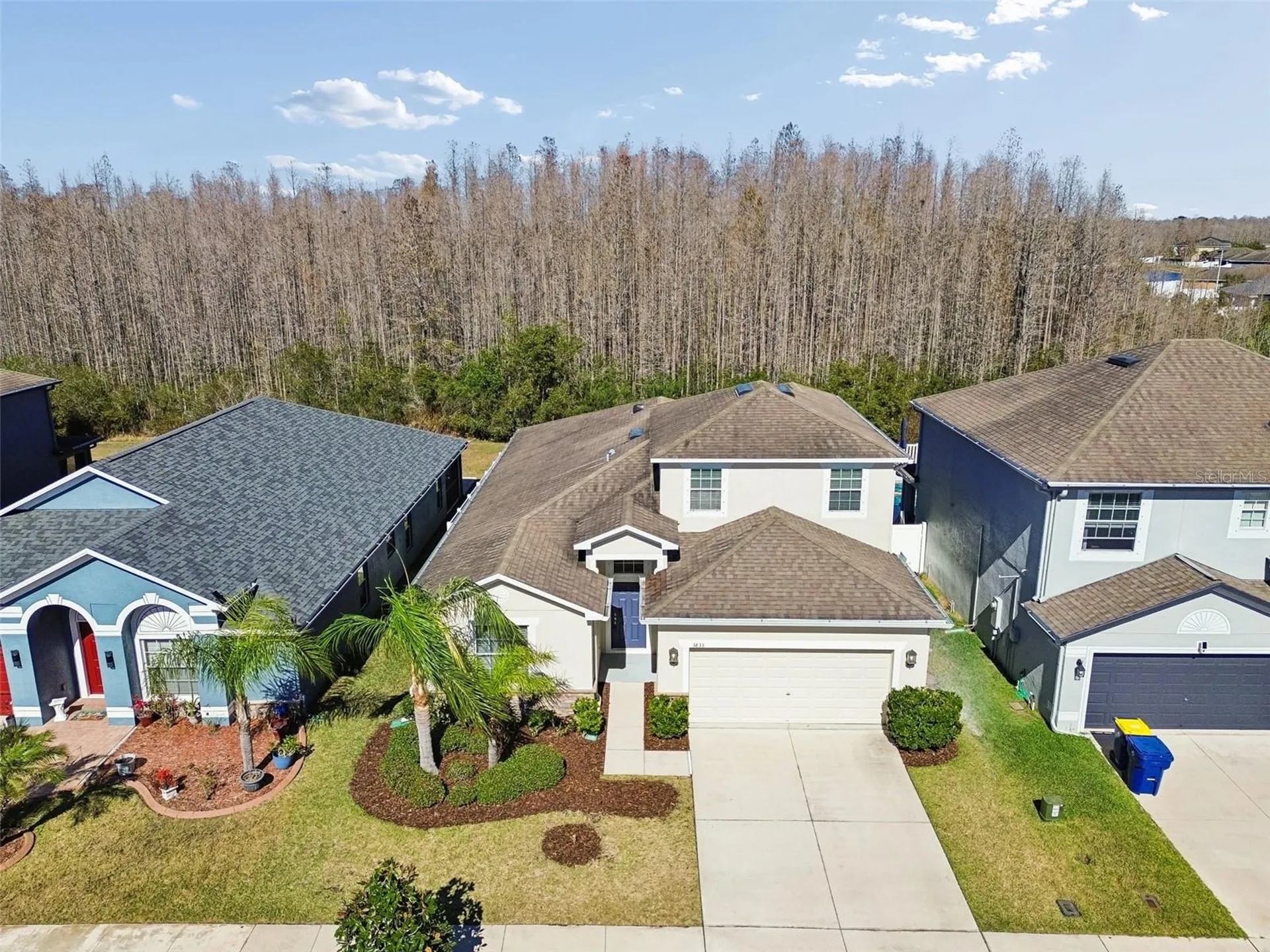 3833 Tuckerton Drive Land O Lakes FL 34638