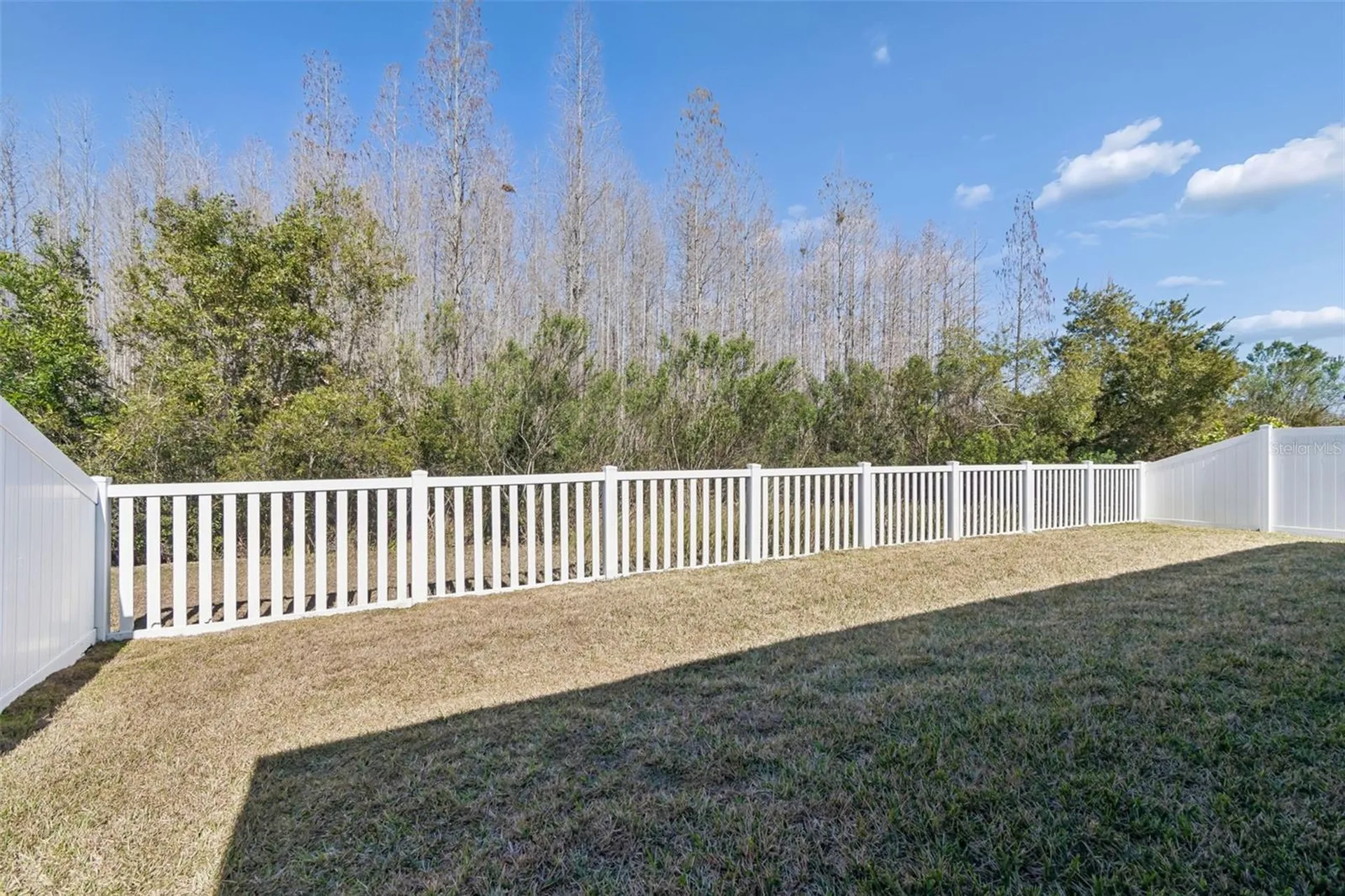 3833 Tuckerton Drive Land O Lakes FL 34638