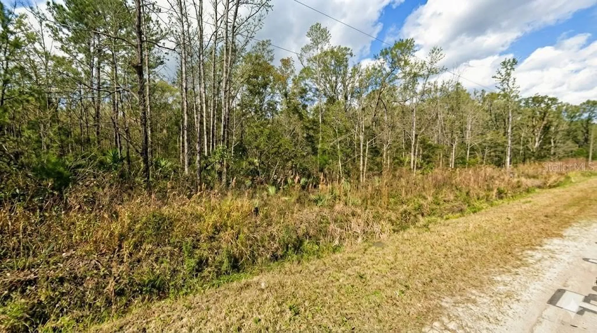 10655 Turpin Hastings FL 32145