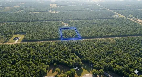 10655 Turpin Hastings FL 32145