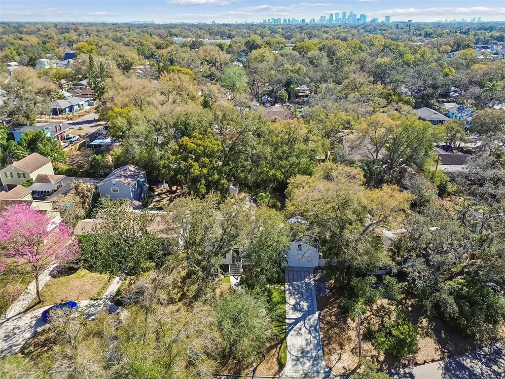 1003 E Clifton Street Tampa FL 33604