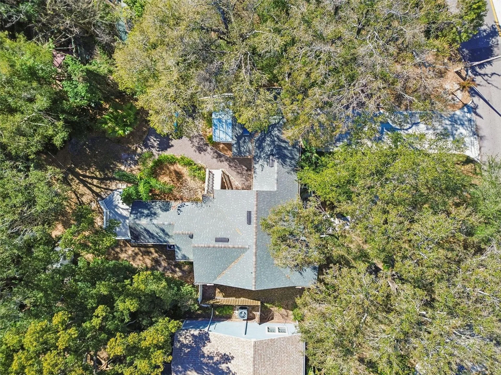 1003 E Clifton Street Tampa FL 33604