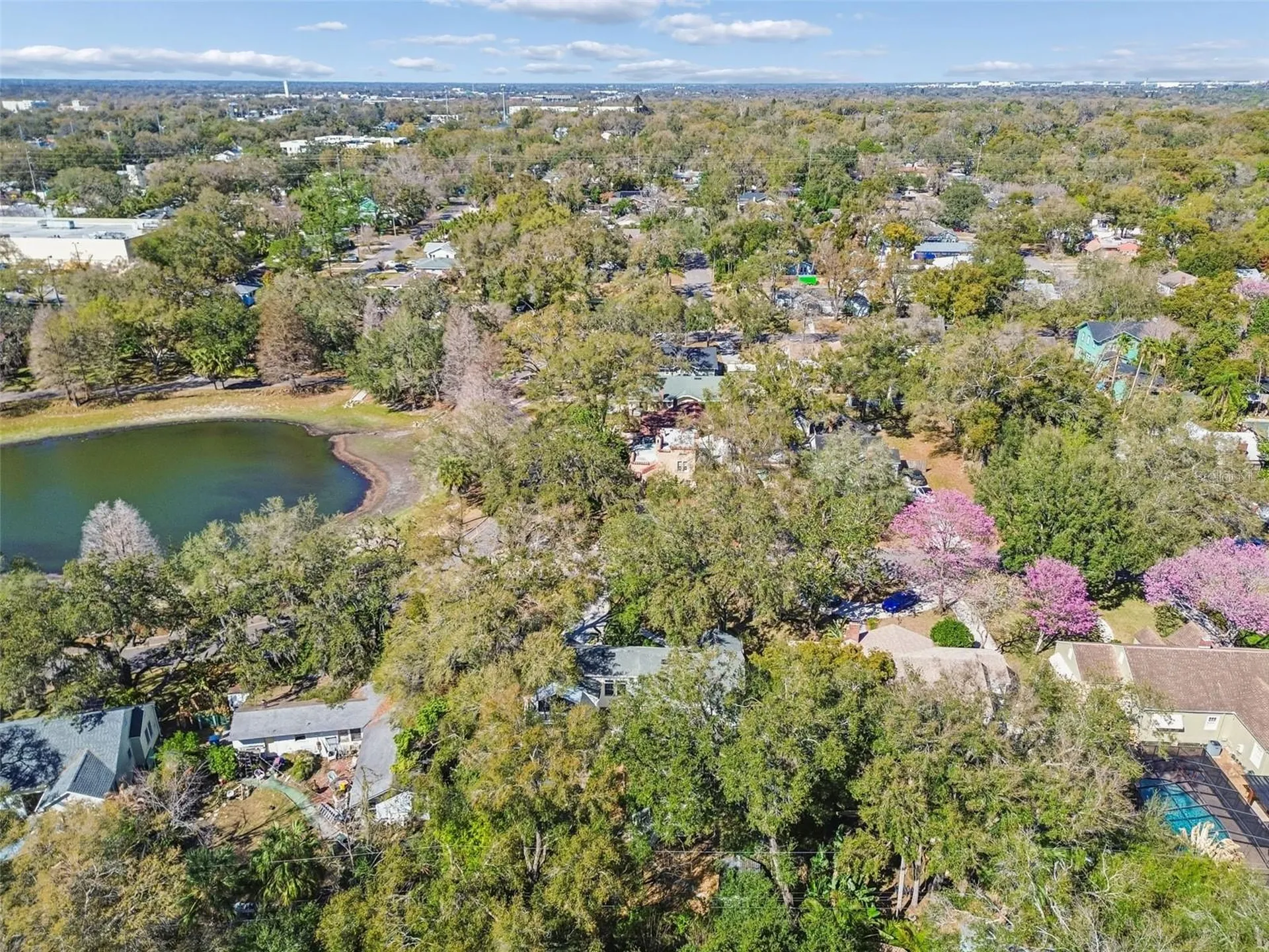 1003 E Clifton Street Tampa FL 33604