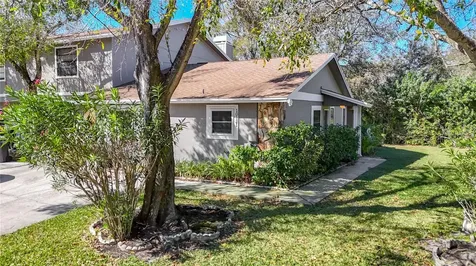 10121 Lake Oak Circle Tampa FL 33624