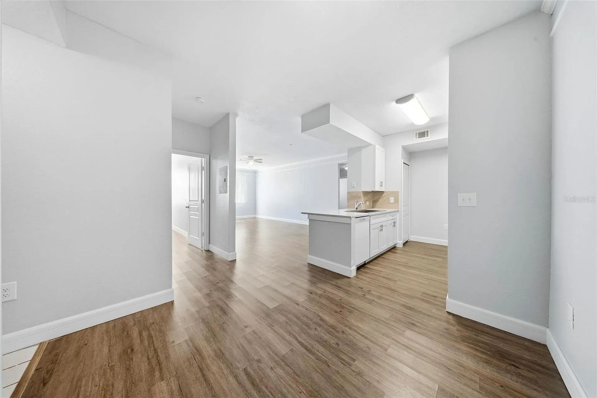 17114 Carrington Park Drive Tampa FL 33647