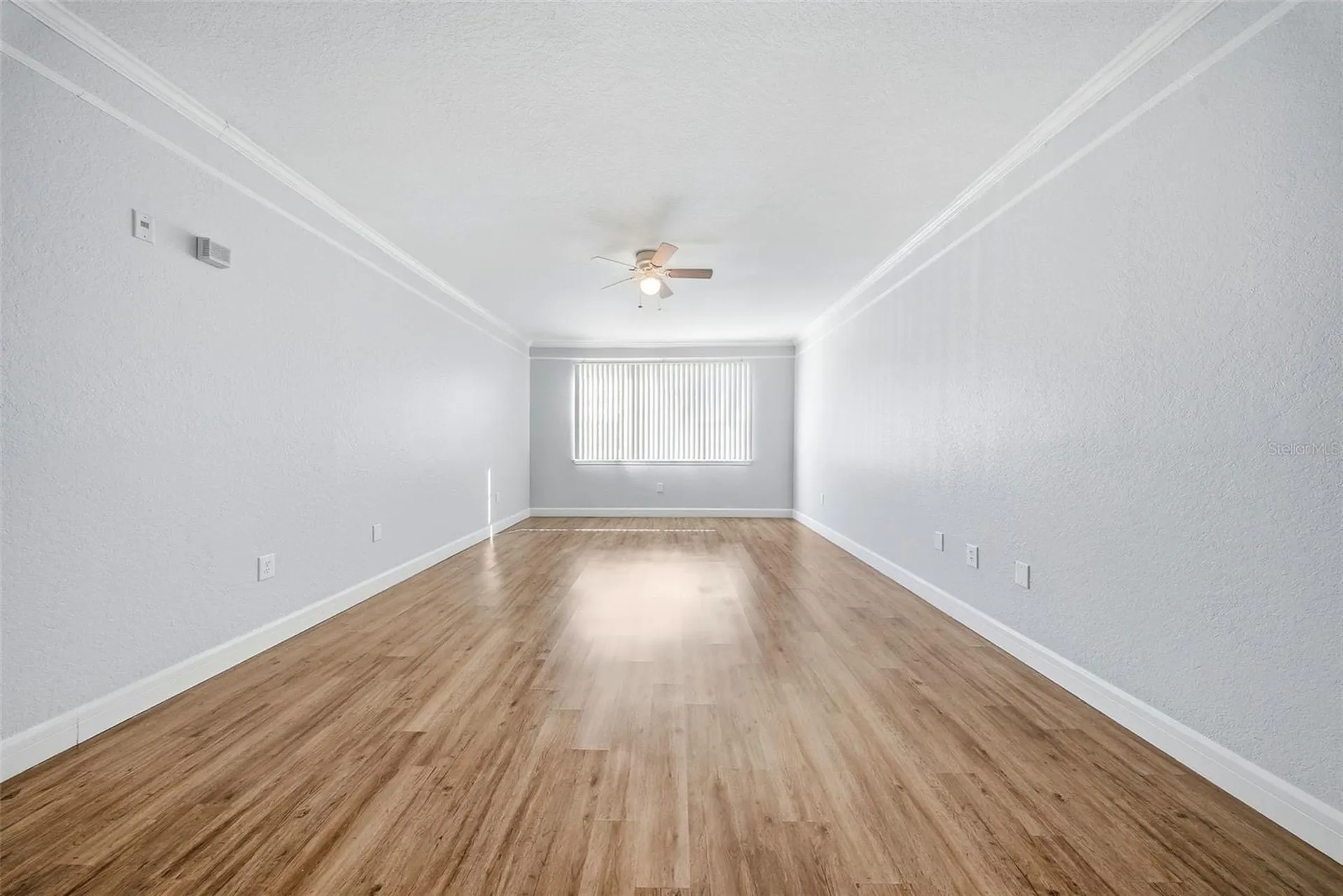17114 Carrington Park Drive Tampa FL 33647