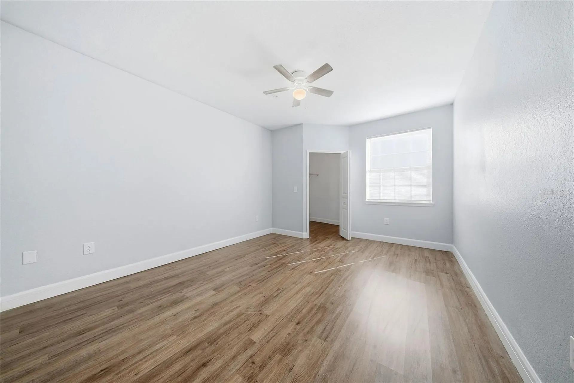 17114 Carrington Park Drive Tampa FL 33647