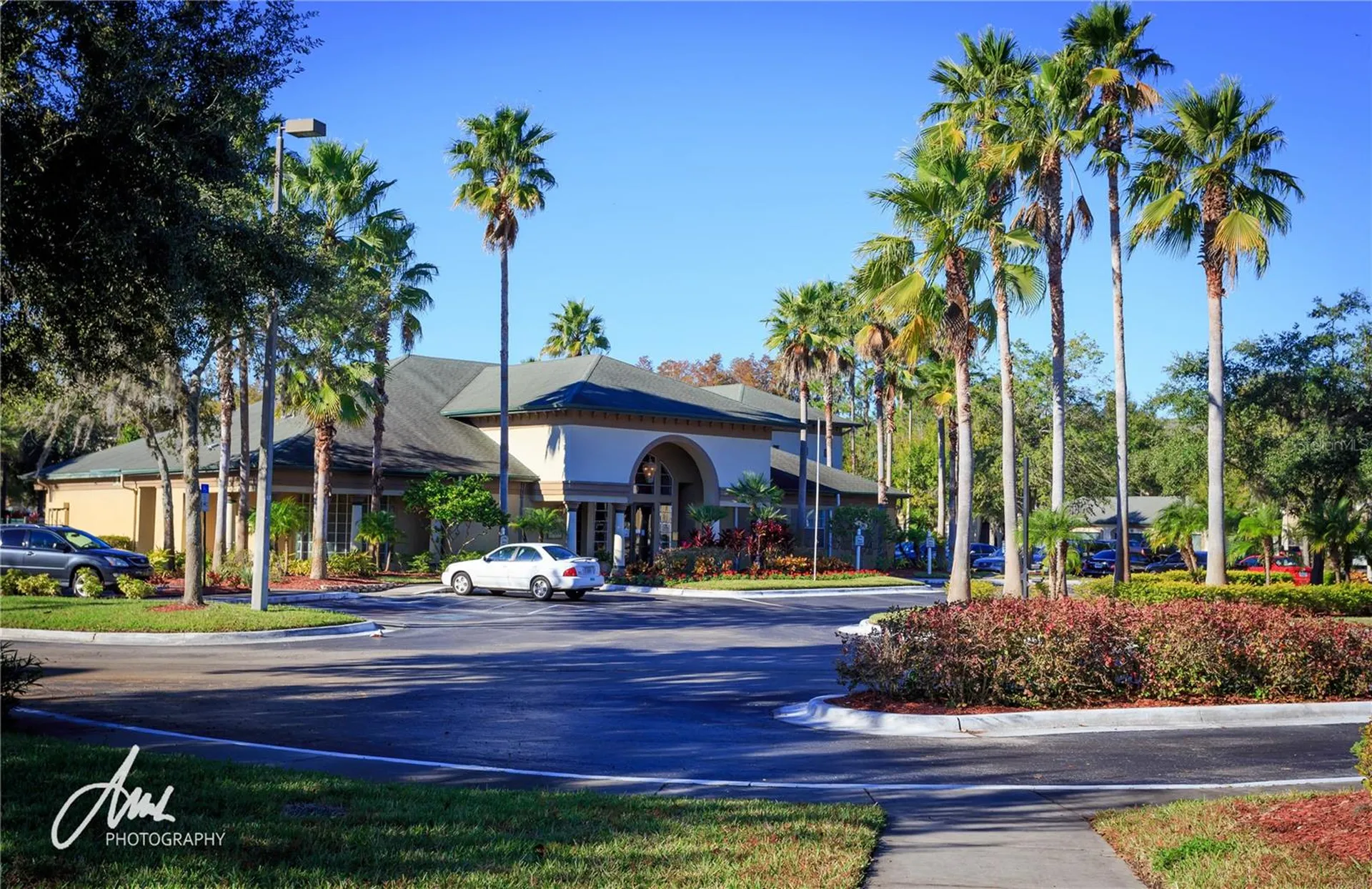 17114 Carrington Park Drive Tampa FL 33647