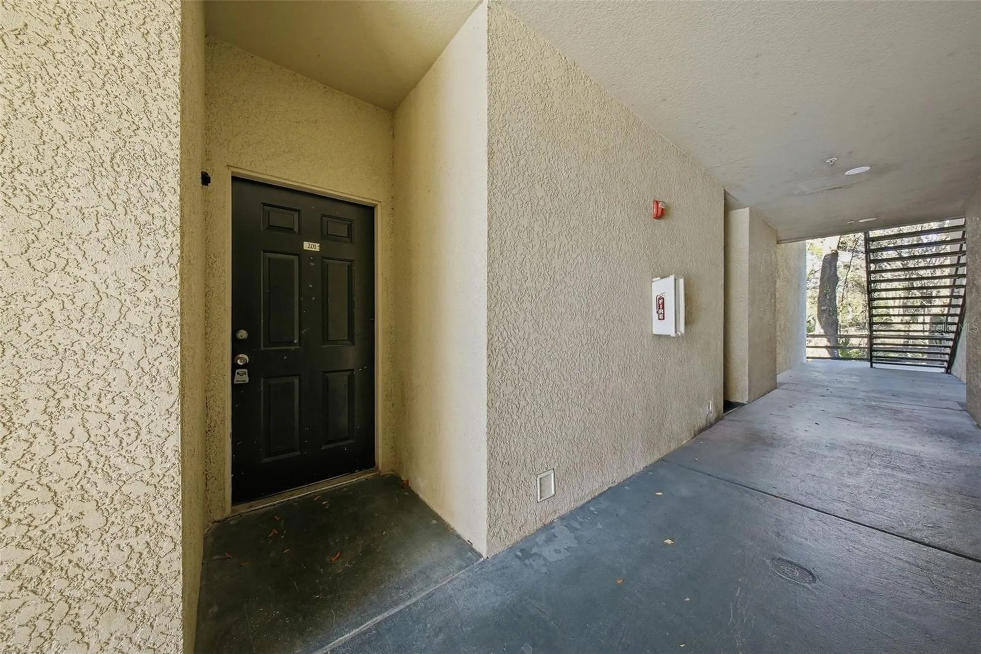 17114 Carrington Park Drive Tampa FL 33647