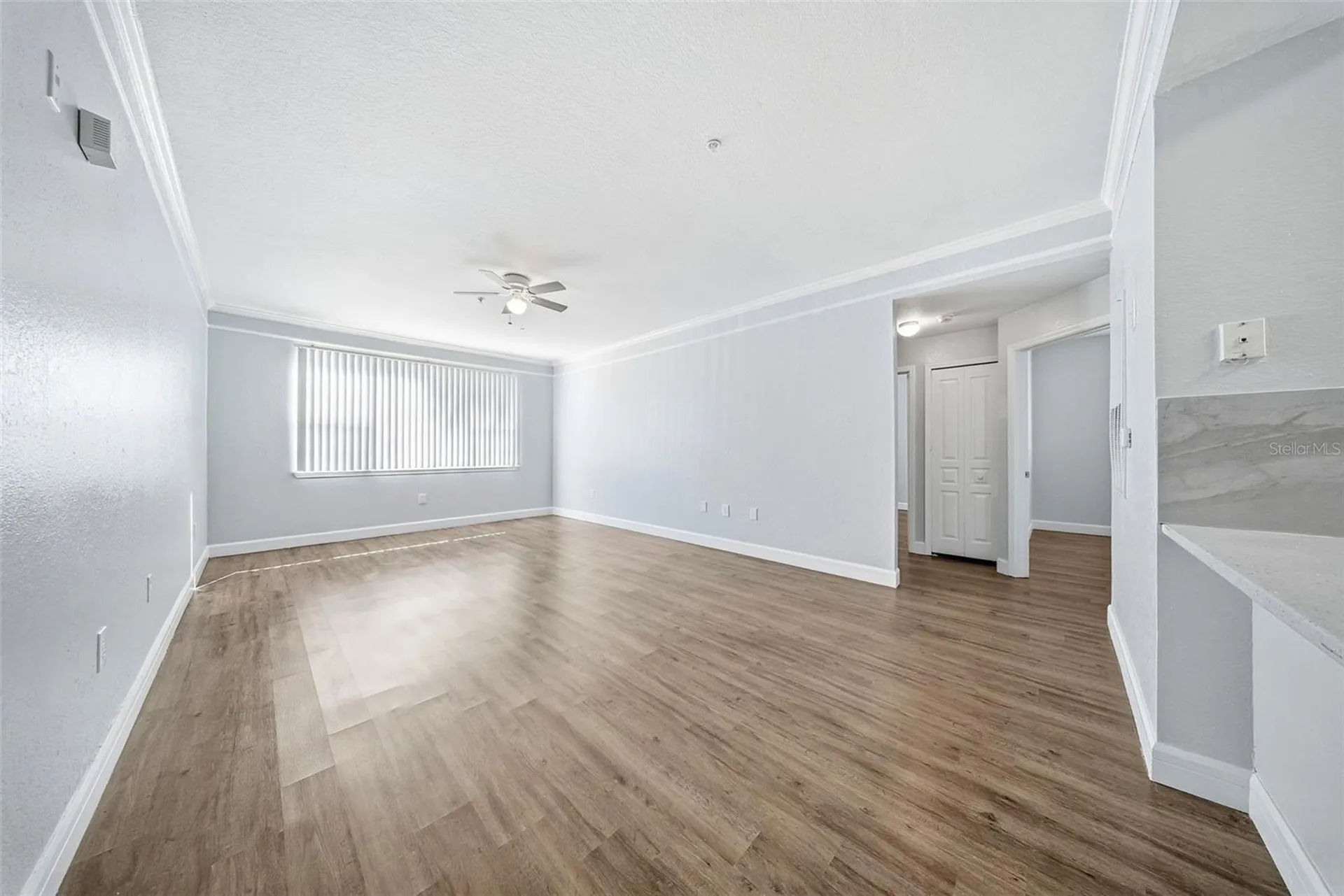 17114 Carrington Park Drive Tampa FL 33647
