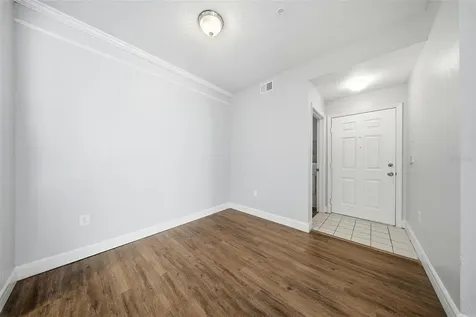 17114 Carrington Park Drive Tampa FL 33647