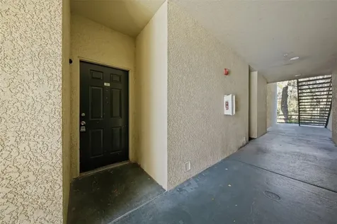 17114 Carrington Park Drive Tampa FL 33647