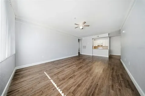 17114 Carrington Park Drive Tampa FL 33647
