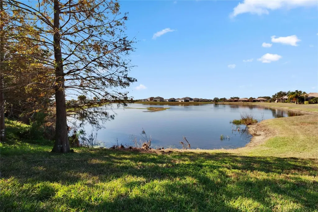 204 Mystic Falls Drive Apollo Beach FL 33572