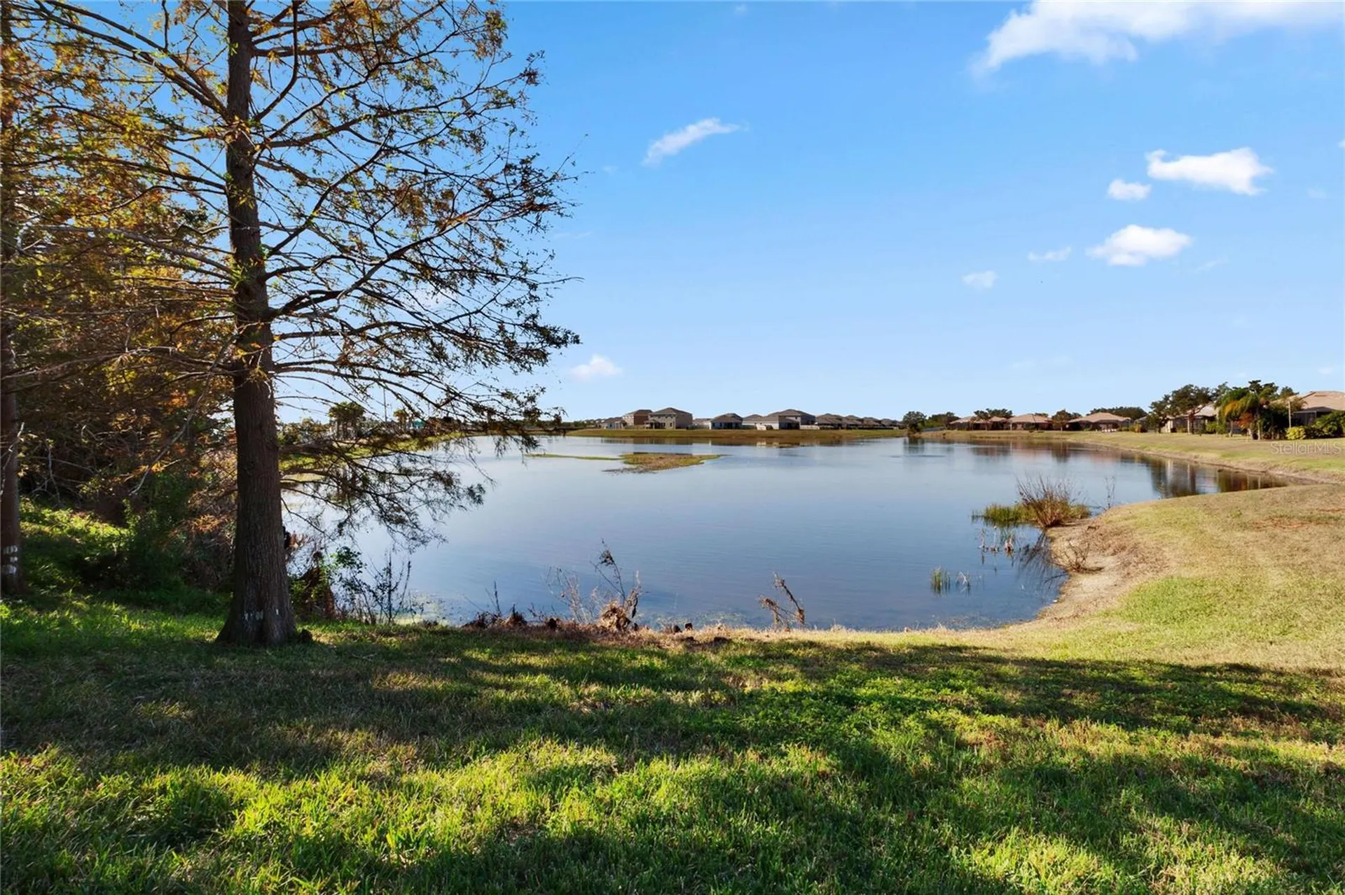 204 Mystic Falls Drive Apollo Beach FL 33572