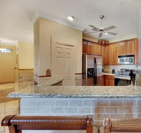 204 Mystic Falls Drive Apollo Beach FL 33572