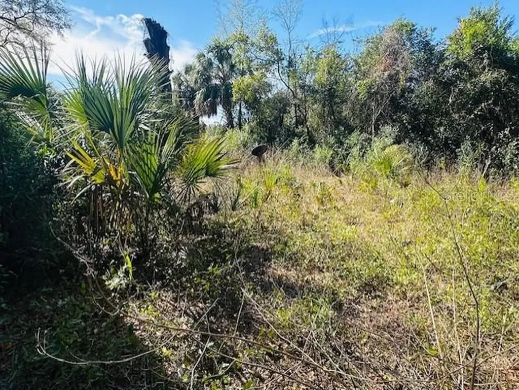 1219 N Paris Street Bell FL 32619