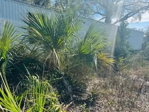 1219 N Paris Street Bell FL 32619