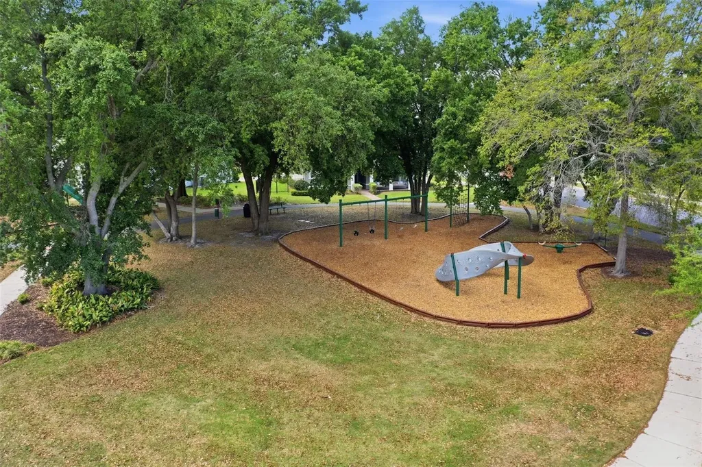 2117 Gopher Tortoise Terrace Oakland FL 34787