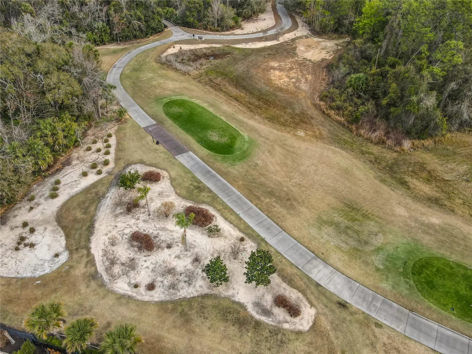 917 Desert Mountain Court Reunion FL 34747