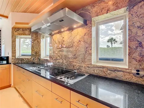 917 Desert Mountain Court Reunion FL 34747