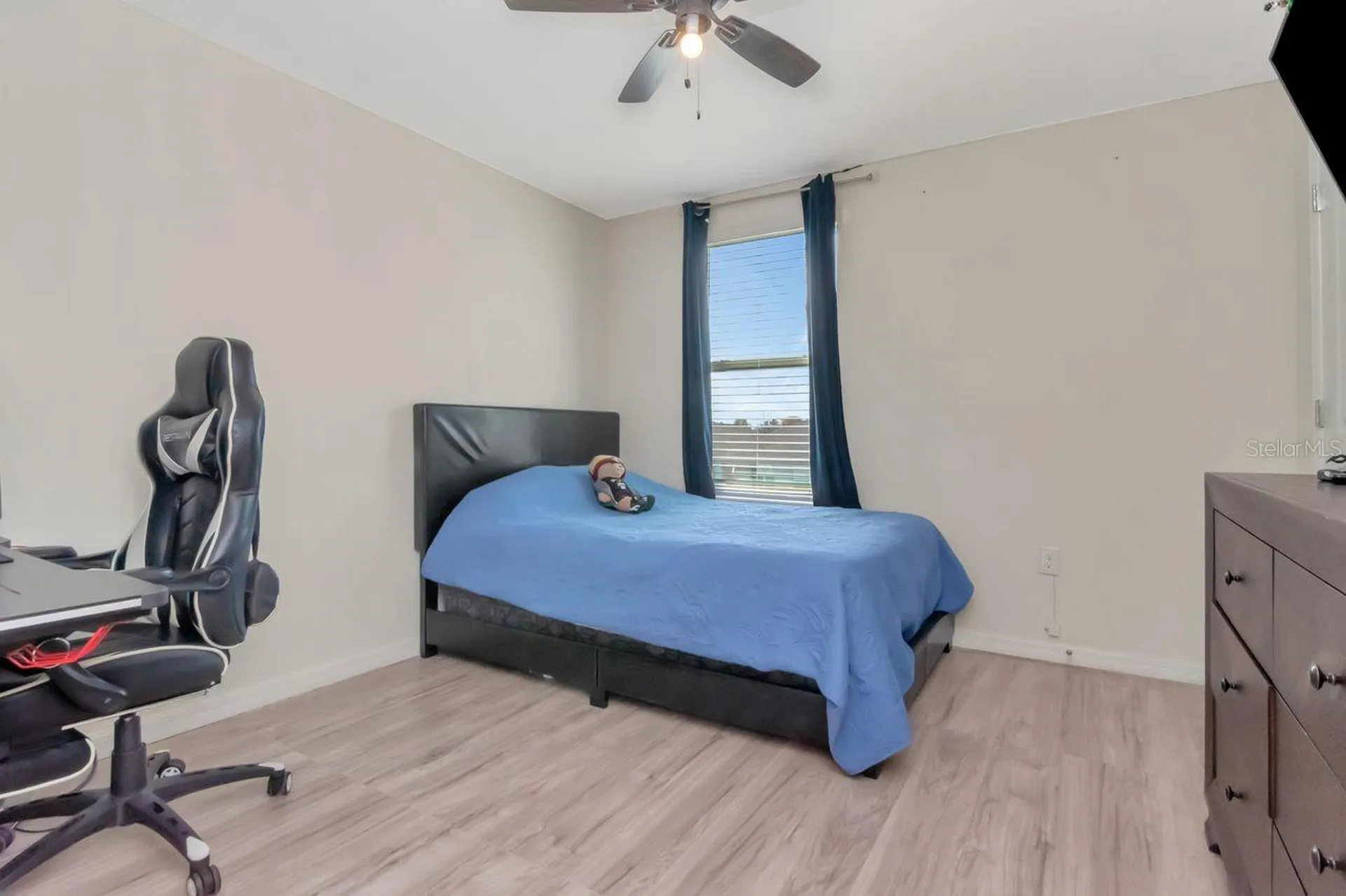 1103 Swaying Sawgrass Avenue Ruskin FL 33570