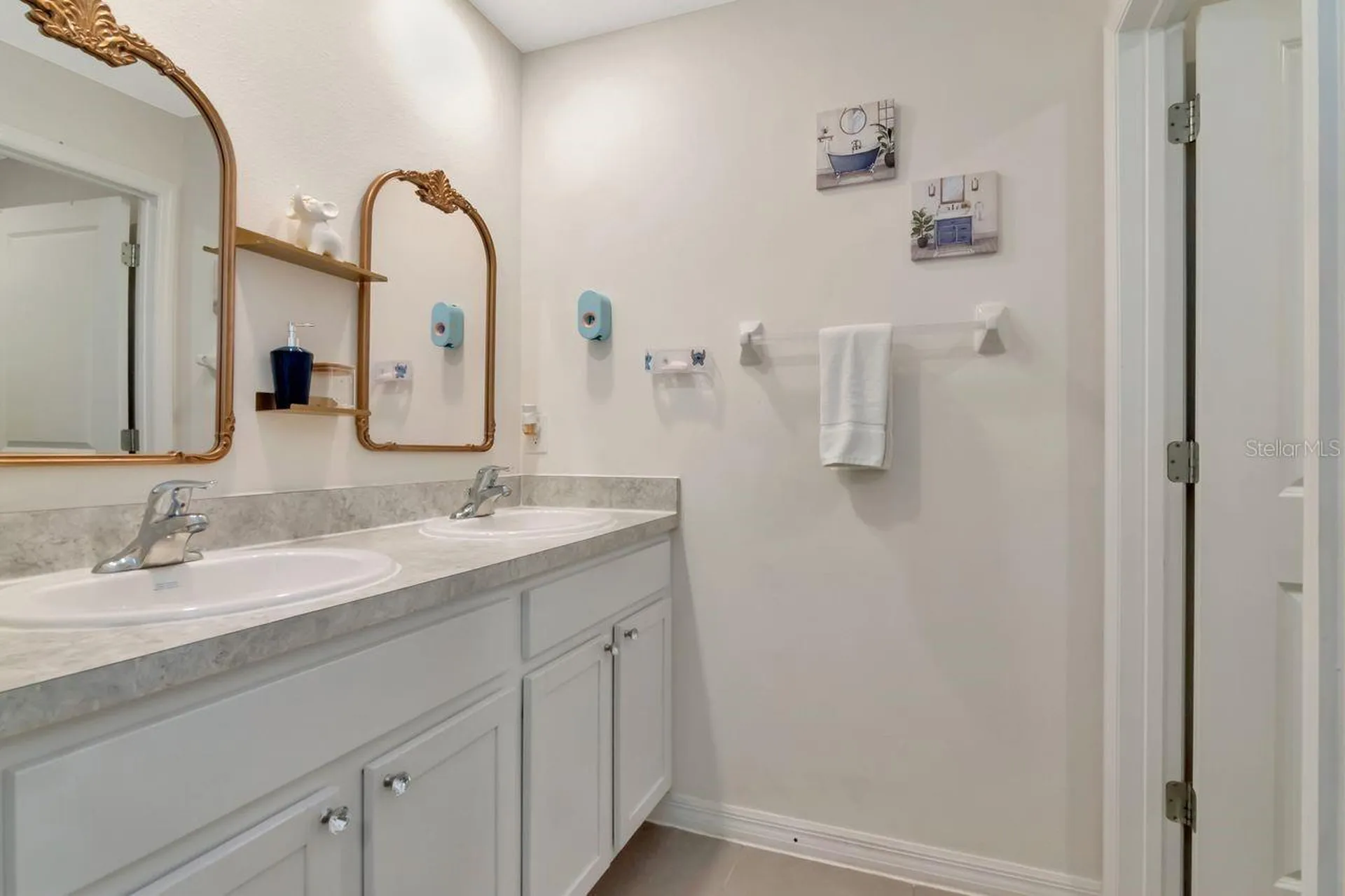 1103 Swaying Sawgrass Avenue Ruskin FL 33570