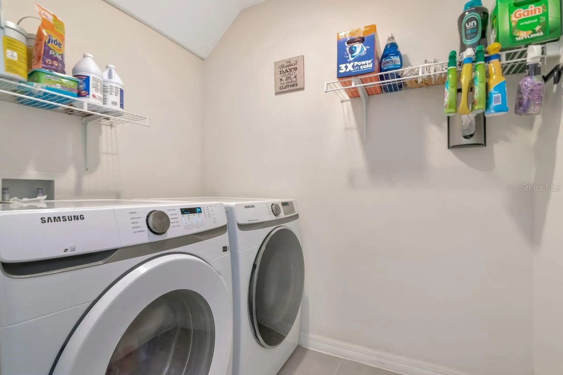 1103 Swaying Sawgrass Avenue Ruskin FL 33570