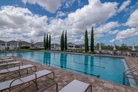 1103 Swaying Sawgrass Avenue Ruskin FL 33570