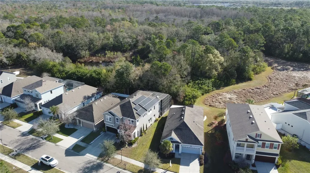 11403 Quiet Forest Drive Tampa FL 33635