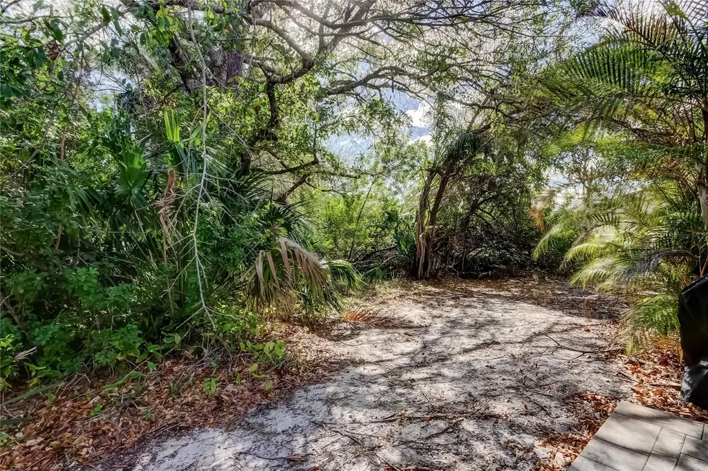 11403 Quiet Forest Drive Tampa FL 33635