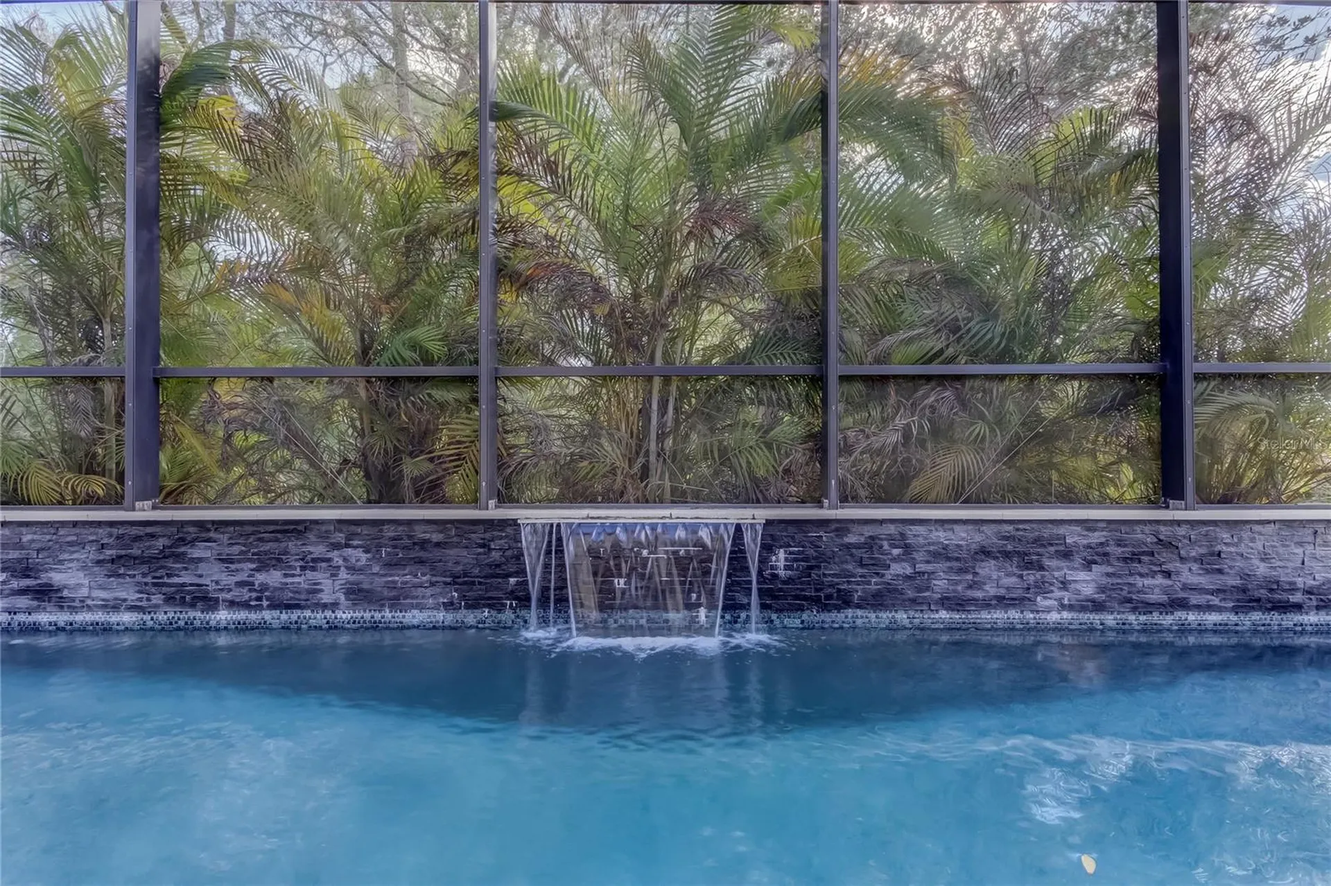 11403 Quiet Forest Drive Tampa FL 33635