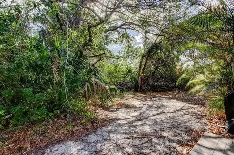 11403 Quiet Forest Drive Tampa FL 33635