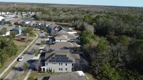 11403 Quiet Forest Drive Tampa FL 33635